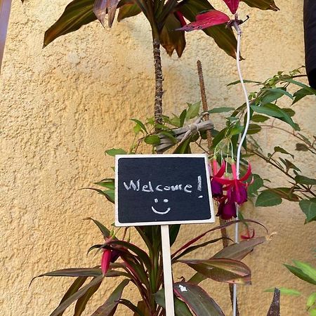 Ona'S House Villa Borsh Ngoại thất bức ảnh